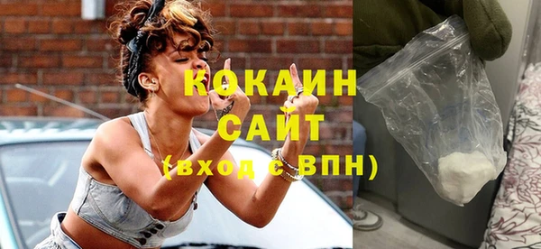 молекула духа Осташков